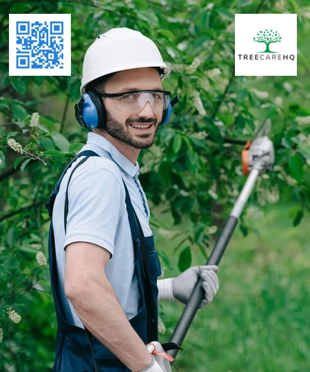 Arborist with TreeCareHQ Local