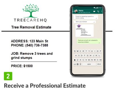 Tree removal cost estimate